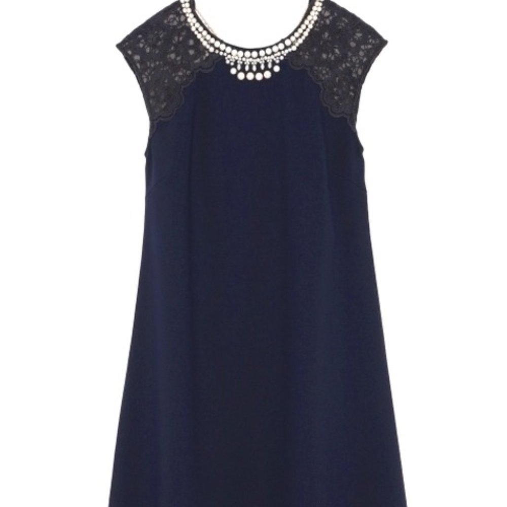 Lily Brown Jewelry Embroidered Mini Dress